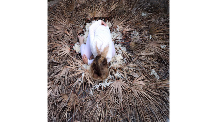 Nest :// Cove #3